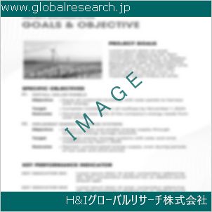 グローバルリサーチ調査資料のイメージ